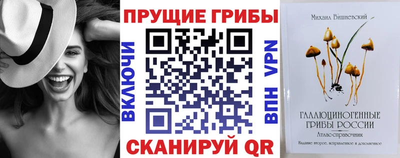 Псилоцибиновые грибы прущие грибы где продают наркотики kraken как войти Новоржев